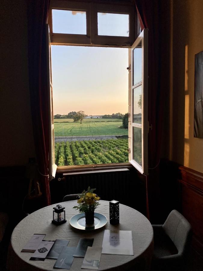 Hotel Particulier Chateau Des Marais Proximite Et Vue Sur Le Lac De Grand Lieu Saint-Philbert-de-Grand-Lieu Εξωτερικό φωτογραφία